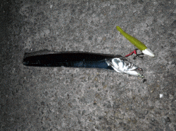 スローワインドでフォール中にＨＩＴ♪