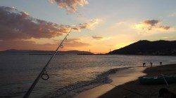 須磨水族館前　好調と聞いた投げ釣りでキス釣行も…