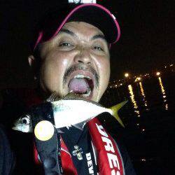 大阪南港 アジングでのアジは上向き