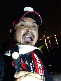 大阪南港 アジングでのアジは上向き