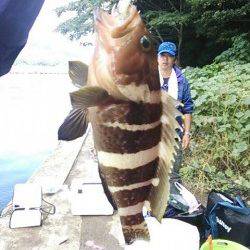 エギング&ショアジギングでの青島釣行