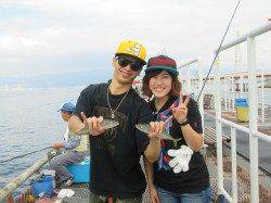 尼崎市魚つり公園でエビ撒き釣り、サバも大きくなってきました