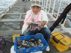 尼崎市魚つり公園、ズボ釣りでサンバソウが一…