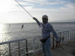 南港海釣り公園、午前中にタチウオ確認、サビ…