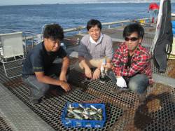 夕方のマアジが大きいです！尼崎市魚つり公園…