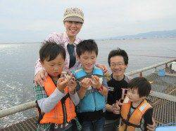 尼崎市魚つり公園 サビキのアジ・サバの他、ズボ釣りでセイゴも