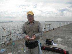 南港海釣り公園　アジの他、サヨリ・タチウオの釣果も