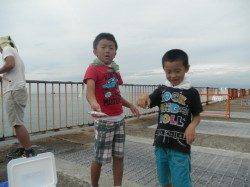 南港海釣り公園　アジの他、サヨリ・タチウオの釣果も