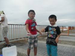 南港海釣り公園　アジの他、サヨリ・タチウオ…