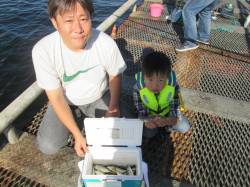 ウキ釣りでチヌ、サビキはサッパメインに青ア…