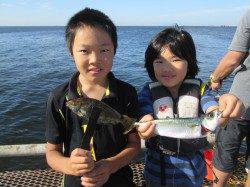 ウキ釣りでチヌ、サビキはサッパメインに青アジ混じりです