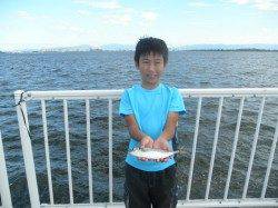 園全体でアジ〜800匹、タチウオは4匹…南港海釣り公園