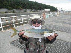 サビキでアジ、ちょっと寂しい数です…　太刀魚は園内20匹