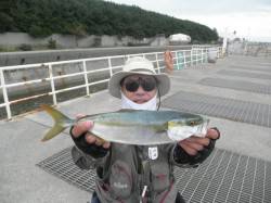 サビキでアジ、ちょっと寂しい数です...　…