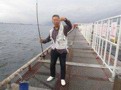 尼崎市魚つり公園、昼からは晴れ間が出ました。サビキ釣果