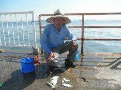 南港海釣り公園、アジが好調でした♪