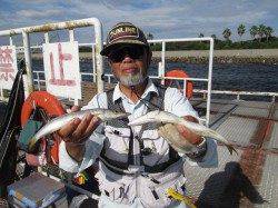 尼崎市魚つり公園でサビキで大きいマアジが狙えます！