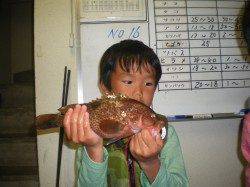 姫路遊魚センターでヒラメ40cm！