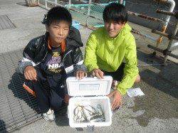 南港海釣り公園　強風高波で午後閉園も午前中にアジ・タチウオ