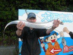 南港海釣り公園 超満員の園ではタチウオ&アジ主体の釣果