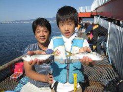 尼崎市魚つり公園　サビキのアジ中心にサッパ・サヨリなど