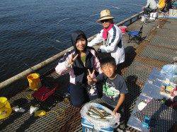 尼崎市魚つり公園　サビキのアジ中心にサッパ・サヨリなど