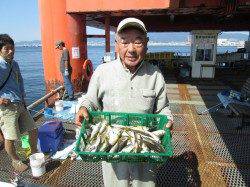 マアジ、短時間ですがイイさいずが連続で釣れます！尼崎市魚つり公園