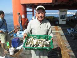 マアジ、短時間ですがイイさいずが連続で釣れ…