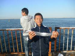 南港海釣り公園、タチウオにアジ、久しぶりの…