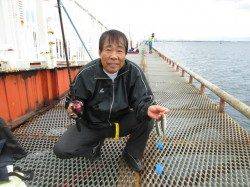 朝はアジの回遊アリ！尼崎市魚つり公園