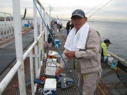 尼崎市魚つり公園　アジ・サッパ・サヨリの他セイゴ・チヌも