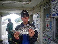 姫路市立遊漁センター アジ中心の釣果の他、チヌ・サヨリの姿も