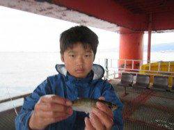 尼崎市魚つり公園、落とし込みでチヌ!餌はフジツボです