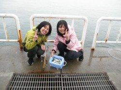 珍しいイトヒキアジが釣れました、南港海釣り公園