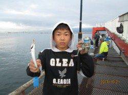 尼崎市魚つり公園 サビキのアジ復活 サヨリも沖向きで狙える