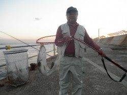 南港海釣り公園 朝はタチウオメーター級も サビキのアジはパラパラ