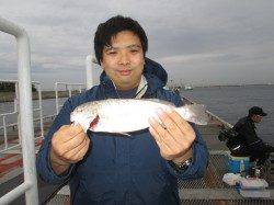 尼崎市魚つり公園、アジ大きくなっています！