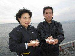 【風はそれほどありませんでした】サビキでアジ　ズボでチヌ