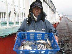 尼崎市魚つり公園 ズボ釣りで小チヌのアタリ 26cmのアジも