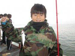 尼崎市魚つり公園　サビキでイワシ・アジ・サッパなどの釣果