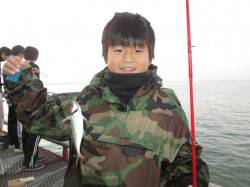 尼崎市魚つり公園　サビキでイワシ・アジ・サ…