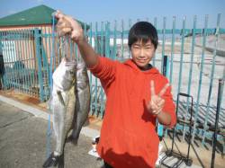南港海釣り公園　サビキのアジの他、タチウオ…