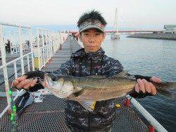 尼崎市魚つり公園　今日もカタクチイワシ・アジ・サヨリ中心の釣果