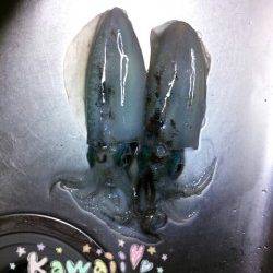 カンパリポイントでGETしたエギで上げました♪