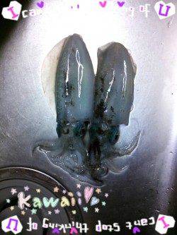 カンパリポイントでGETしたエギで上げました♪