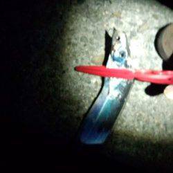 汐見埠頭でタチウオワインド　アタリ6回中3本確保