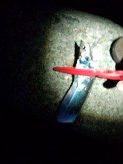 汐見埠頭でタチウオワインド　アタリ6回中3本確保