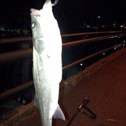 白灯台でシーバスをゲット！