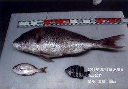 浜坂で良型マダイをキャッチ！