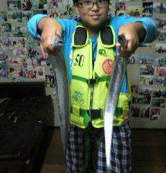 岸和田一文字　タチウオの釣果出てます